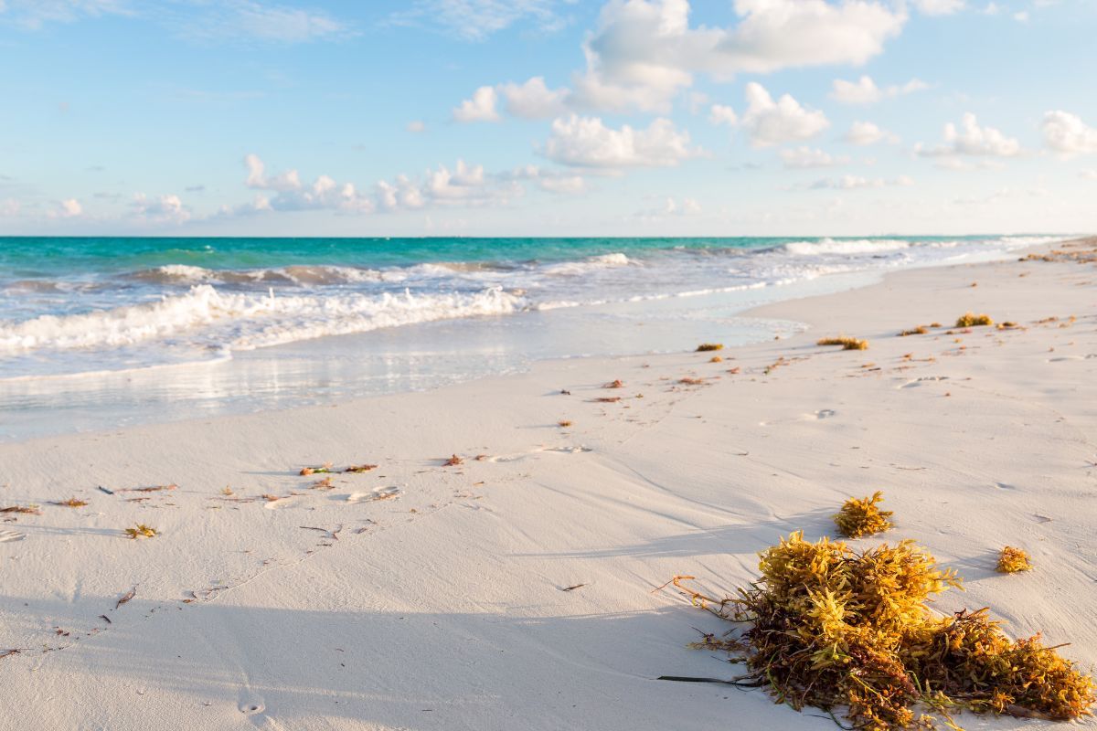 Isla Blanca Near Cancun, Mexico